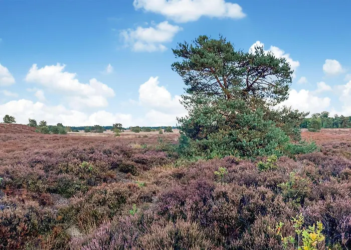 Stunning Stacaravan In Putten